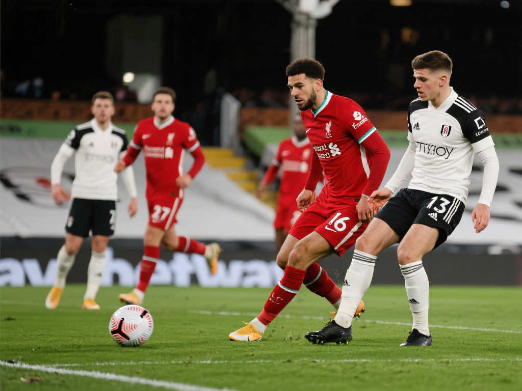 竞技公平的 竞技公平的